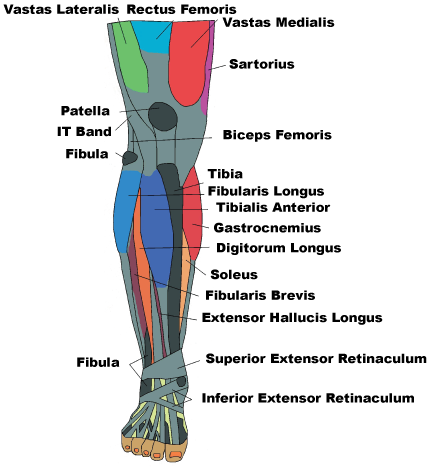 knee injury treatment
