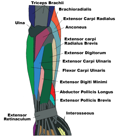 tennis elbow self treatment