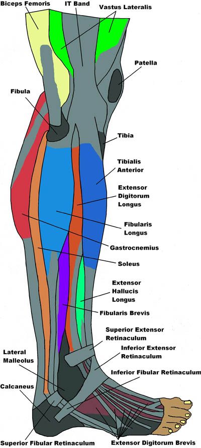 ankle injury treatment